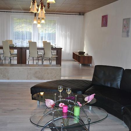 Apartment Mlynska Єсеник Екстер'єр фото